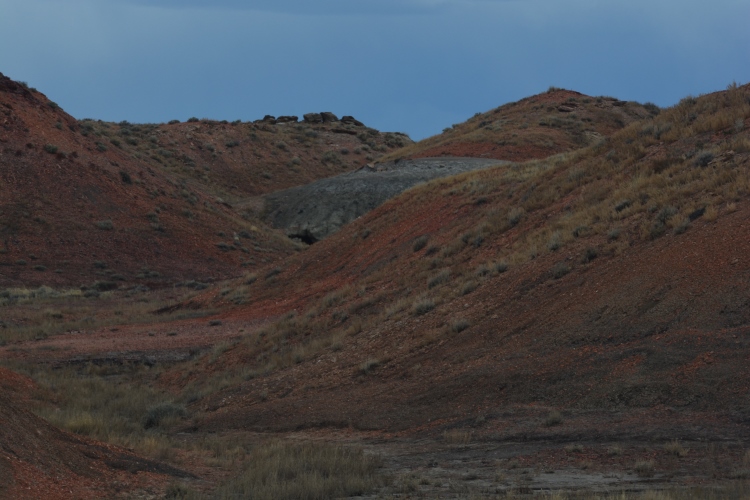bisti wilderness